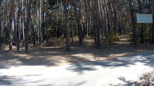 Лесопарк Оптимист. Воронеж смотреть онлайн