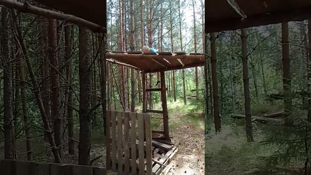 7 октября 2023 г. смотреть онлайн