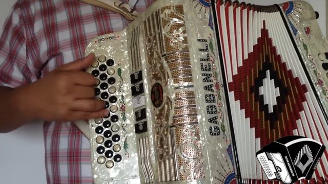 PRINCIPIANTES: El Complejo - Los Cachorros de Juan Villarreal (Tutorial - Slow) Accordion Blog смотреть онлайн