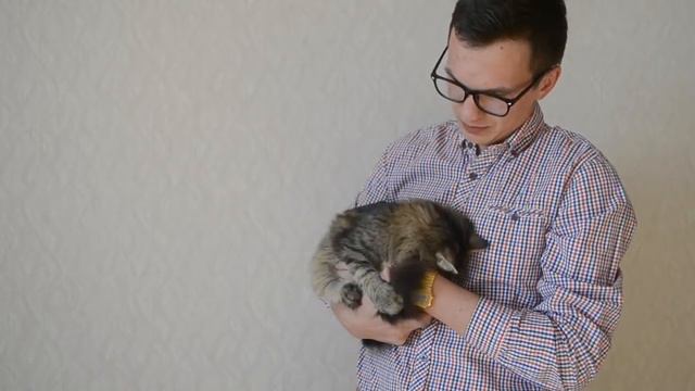 Политика с БАРСУКОМ смотреть онлайн