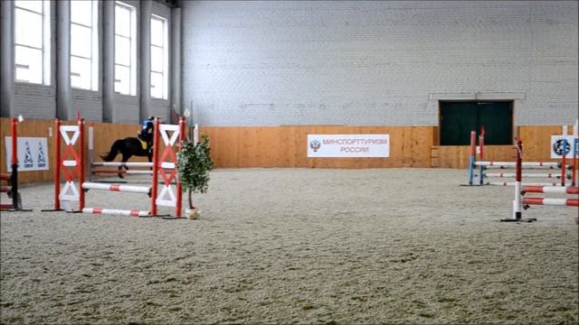 Horses jumping смотреть онлайн