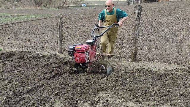 Приехал сосед. Фрезерование лёгким мотоблоком.Мотокультиватор. смотреть онлайн