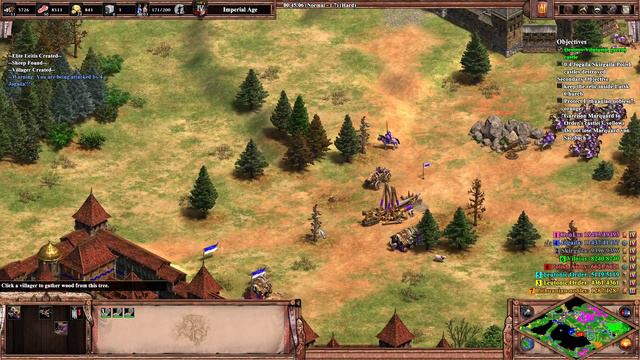 AoE2: DE Custom Campaign | Vytautas | 4. The Grand Duke of Lithuania смотреть онлайн