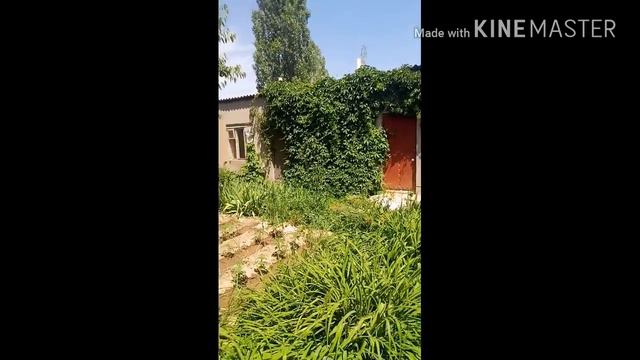 РАДУГА ПУЗЫРИ ПОЕЗД КАРТИНКИ смотреть онлайн