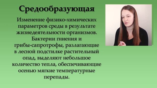 Все функции живого вещества биосферы на ЕГЭ по биологии 2022 с примерами смотреть онлайн