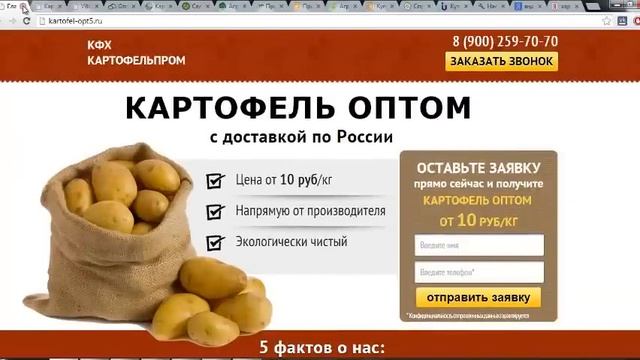 Оптовый бизнес. Обзор одностраничников по картофелю от Артёма Бахтина смотреть онлайн