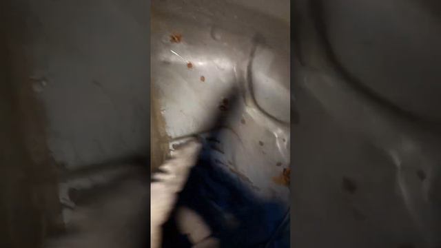 ШОК|НОВАЯ ДЫРА В КОРПУСЕ WOLKSWAGEN GOLF|ОТКУДА ПОПАДАЕТ ВОДА|ПРОЕКТ WOLKSWAGEN DAS AUTO смотреть онлайн