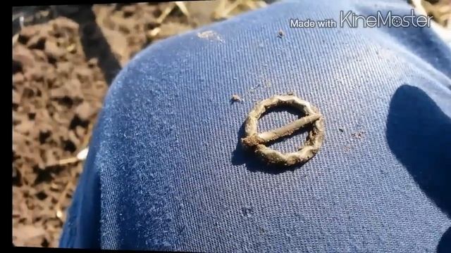 Поиск сокровищ.Коп.Серебрянные монеты.Minelab safari. смотреть онлайн