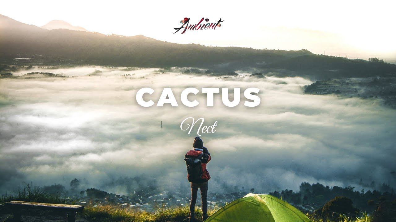 Nect - cactus [ambient cinematic instrumental] смотреть онлайн