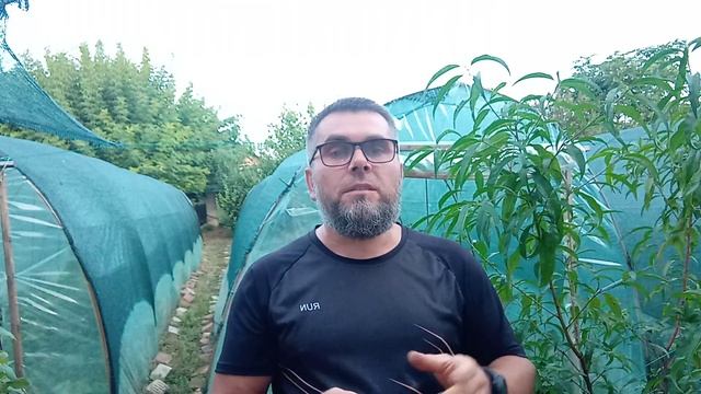 Итог ежевичного сезона 2021 Фавориты сезона смотреть онлайн