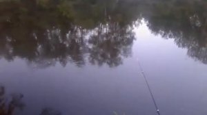 Плоский поплавок, модификация №3. Ловля на течении.