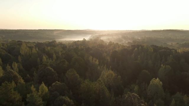 Муж устроился в компанию, где работала его жена, и узнал про нее много нового. Истории измен смотреть онлайн