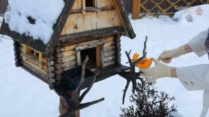 Чем подкормить синиц зимой?