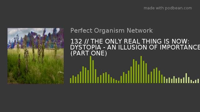 132 // THE ONLY REAL THING IS NOW: DYSTOPIA - AN ILLUSION OF IMPORTANCE (PART ONE) смотреть онлайн