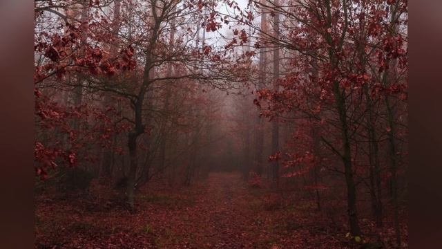 Ральф Уолдо Эмерсон. Природа смотреть онлайн