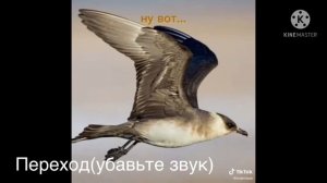 -Реакция Магистр Дьявольского Культа на Не Хуайсана-