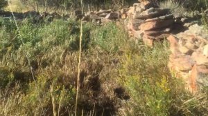 На половину сохранившийся каменный фундамент!