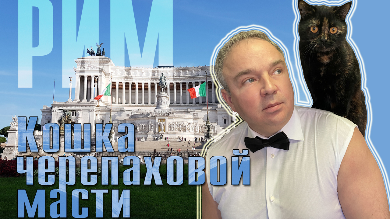 Кошка черепаховой масти смотреть онлайн