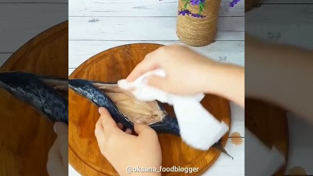 Лесные грибы: связь с деревьями и растениями