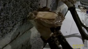 Как закрепить рога на медальон