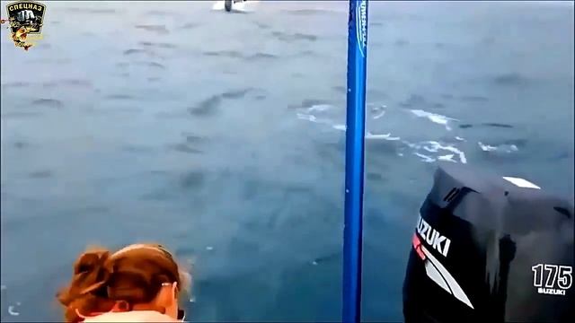 Девушки на рыбалке/Приколы на рыбалке/Весёлая рыбалка/Женская рыбалка/Рыбалка с юмором смотреть онлайн