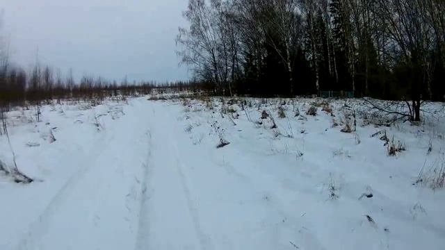 В заброшенной деревне \ Нашел кладбище \ Звери в кустах смотреть онлайн