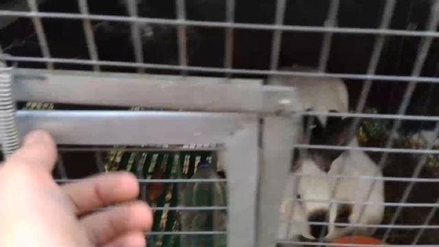 Уборка с вниманием