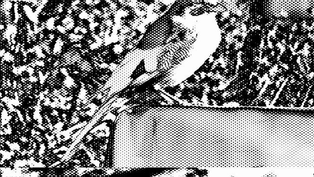 Oceans - Text Me Records Bobby Renz #Рок#Оптимистичное#Ударные Музыка без авторских прав смотреть онлайн