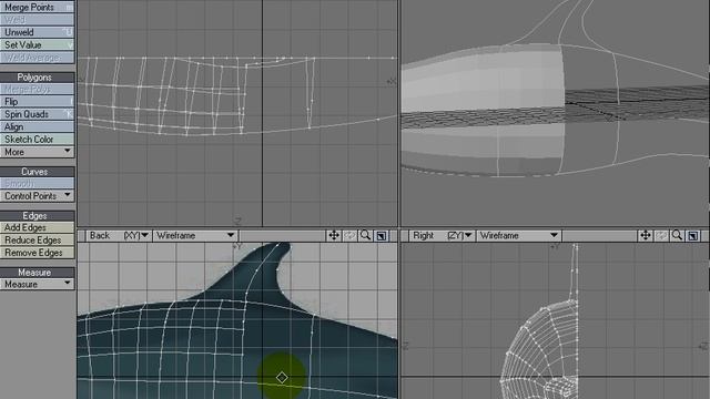 Dolphin_modeling_pt9