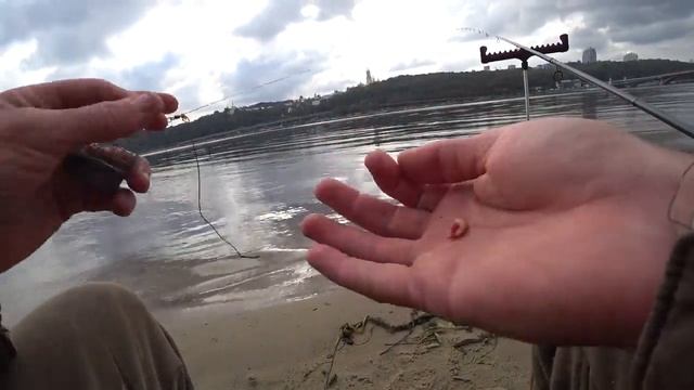 Рыбалка в Киеве. Осенний фидер. Центральный пляж. Карась, плотва... У кафе "Камышовый кот" смотреть онлайн