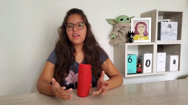 Review Flip 6 | ¿El MEJOR JBL de 2022? ? ? смотреть онлайн