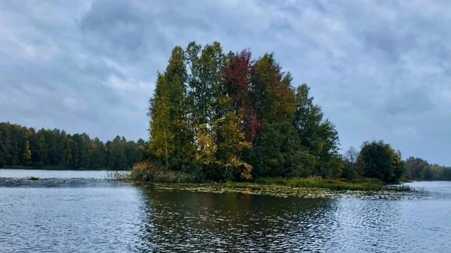 Рыбалка в Марий Эл сентябрь 2018 смотреть онлайн