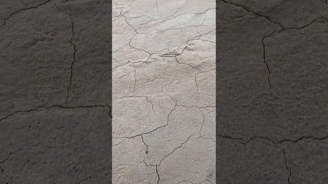 арктическая пустыня #arctica #desert #tundra смотреть онлайн