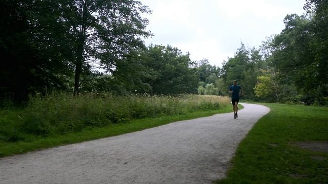 Review: Mizuno Wave Sky 5 - Like running on clouds! смотреть онлайн