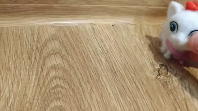 Жизнь кошек домашних и дворовых.