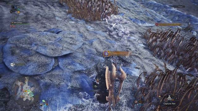 Tempered Elder Dragon Farming: How to get Unlimited Investigations (Monster Hunter World) смотреть онлайн