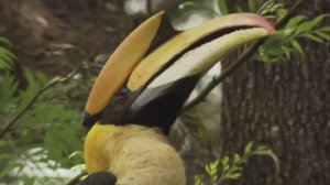 Западные Гаты. Планета Мутантов