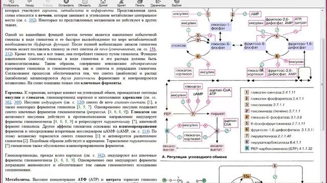 ответы на вопросы сеченова биохимия