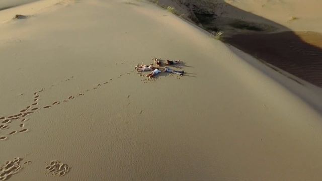 Пустыня Гоби, Монголия. смотреть онлайн