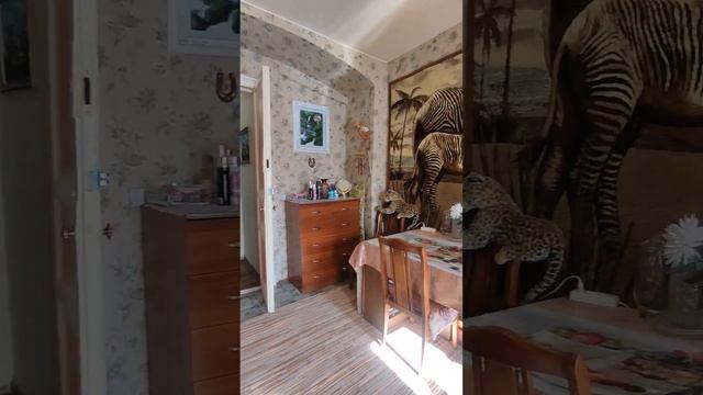 Продажа комнаты в центре Петербурга! смотреть онлайн