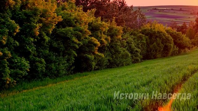 Приехав на вызов к малышке, Карина замерла, увидев странное фото мужа, который пропал 3 года назад… смотреть онлайн