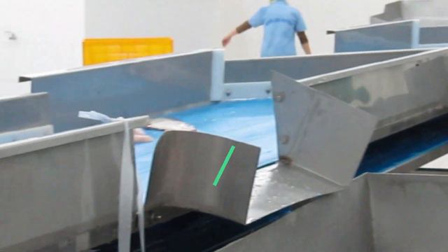 Seafood & Fish Processing Line Conveyor System смотреть онлайн