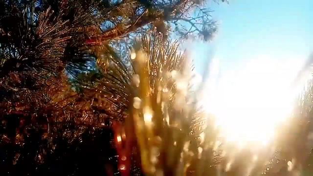 Красота Зимы. Зимний звон хрусталя. Колокольчики смотреть онлайн