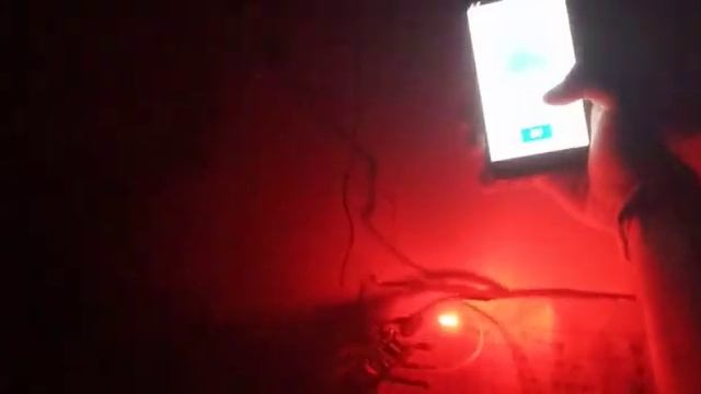 IoT web server.esp8266 web server. Node mcu server project.Cloud server.cloud project.Home atumatio смотреть онлайн