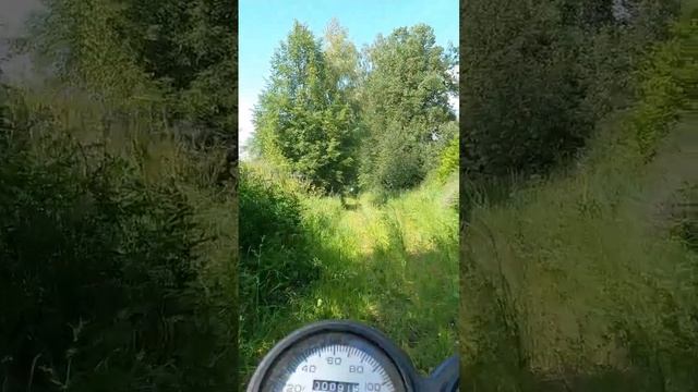 Мопед COLT, полевая дорога смотреть онлайн