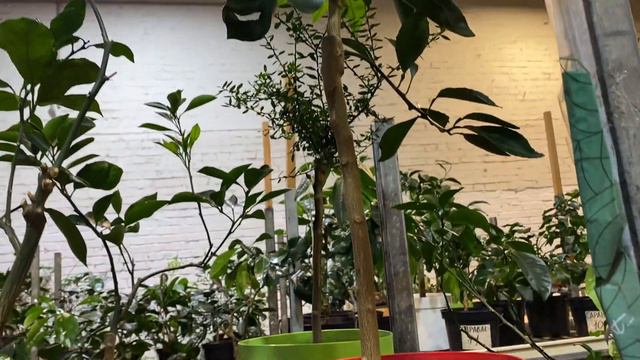 Обзор 20 февраля 3 часть смотреть онлайн