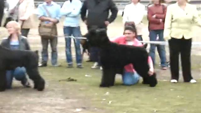 Бэсты 3 мая 2009 г. Хабаровск смотреть онлайн