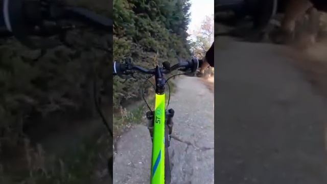 URBAN FREERIDE|ROCKRIDER ST 100 смотреть онлайн