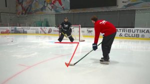 ПРАВИЛА И СЕКРЕТЫ ПРАВИЛЬНОГО ВЫБОРА ПОЗИЦИИ ДЛЯ ХОККЕЙНОГО ВРАТАРЯ