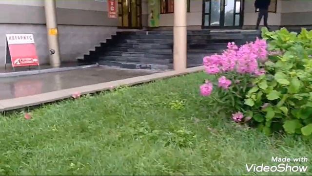 Доброе дождливое утро. смотреть онлайн